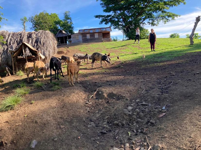 “FARMER'S LIFE IN THE SIERRA MAESTRA” Trekking Tour (1 day)