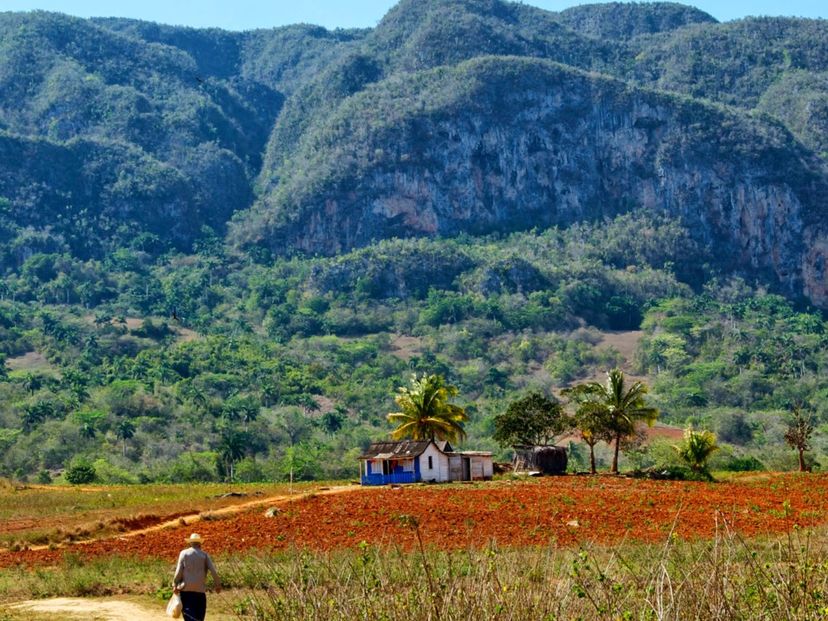Viñales valley National Park, declared a Cultural Heritage Site by UNESCO, Pinar del Río. “Visit to Viñales” Tour