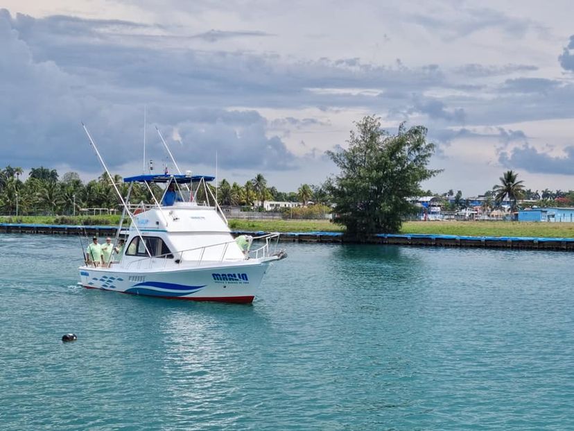 "SEAFARI ALONG HAVANA'S COASTLINE" Tour (From Marina Marlin Hemingway)