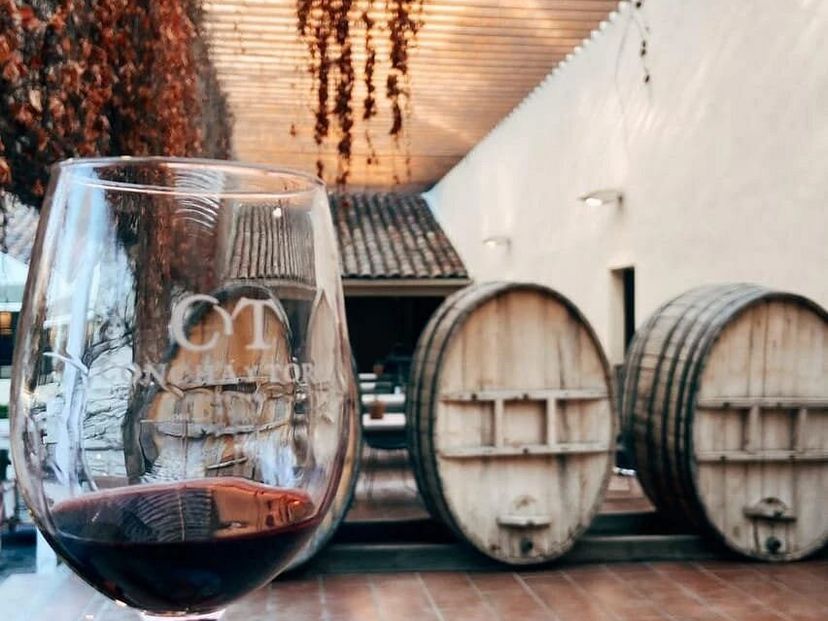 “CONCHA & TORO WINERY” Tour, Chile.