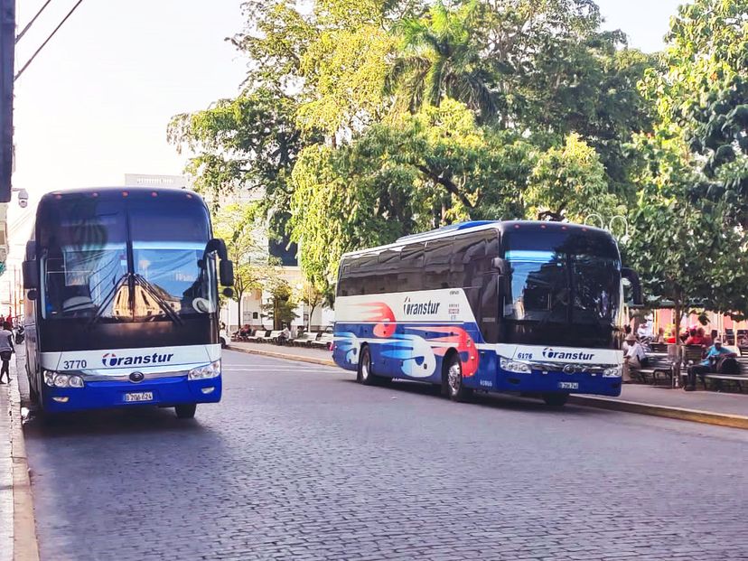 “EL EXPRESO DE CUBA: HAVANA / PLAYA LARGA / PLAYA GIRÓN / CIENFUEGOS / TRINIDAD“ Collective Transfer Services
