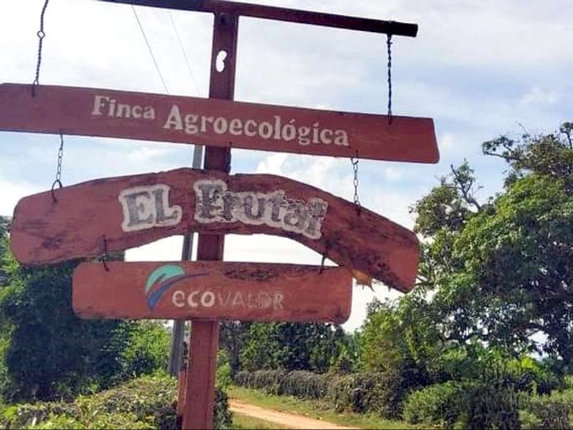 Tour "VISITA AD UN'AZIENDA AGRICOLA"