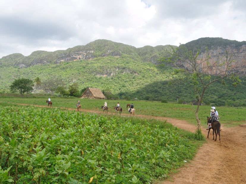 “DAY TRIP HAVANA – VIÑALES: EXPLORE VIÑALES BETWEEN MOGOTES” Tour, Viñales, Pinar del Río, Cuba.
