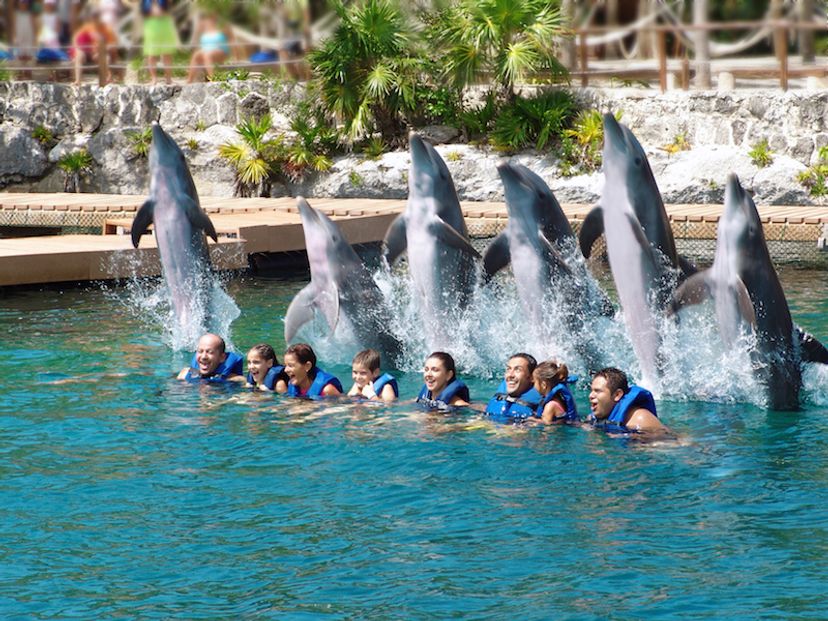 Swim with dolphins in Xel-Ha Park, a fun and exciting experience in Cancun, Yucatan Peninsula. Mexico.