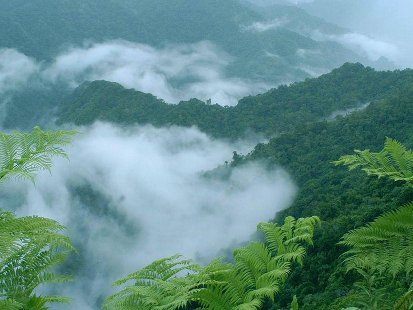Alejandro de Humboldt National Park, Balcony of Iberia trail