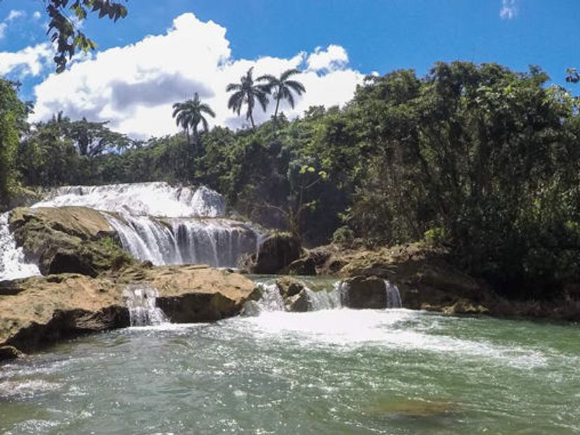"Nature Tour Nicho-Trinidad in American Classic Car"
