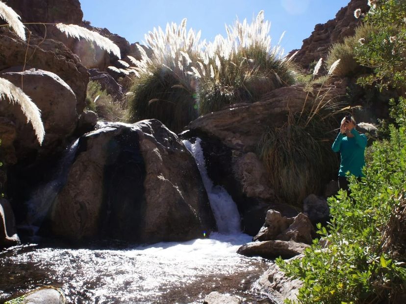 "TREKKING TO GUATÍN - PURITAMA" PREMIUM Tour, San Pedro de Atacama, Chile. 