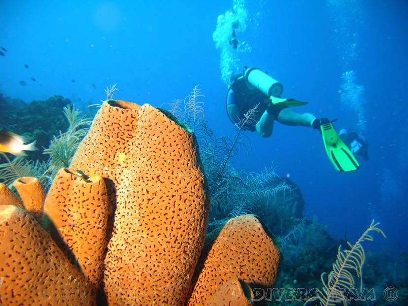 "Diving in in Covarrubias" Tour