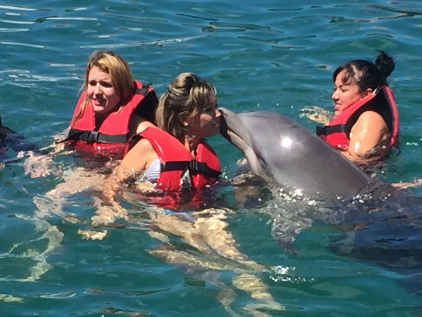 "SPECIALIZED SWIMMING WITH DOLPHINS IN BAHIA DE NARANJO" Tour, Esmeralda beach, Holguín, Cuba.