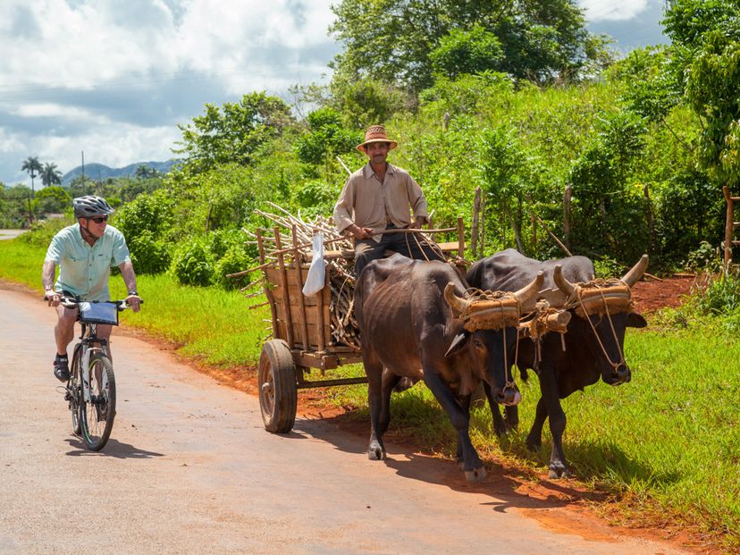 Cycling the Viñales Tour, Viñales valley National Park, declared a Cultural Heritage Site by UNESCO, Pinar del Río