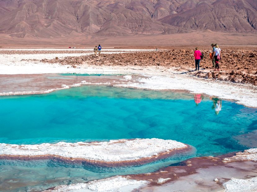Baltinache lagoons, panoramic view, Antofagasta región, Chile.