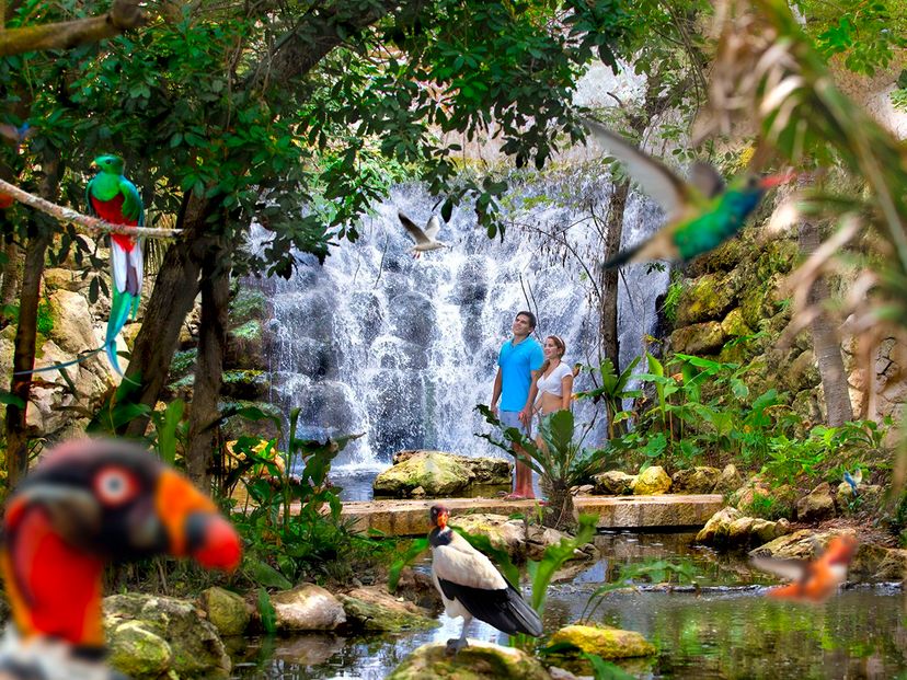 Xcaret Park, a place to have fun with its attractive attractions. Yucatan Peninsula, Mexico.