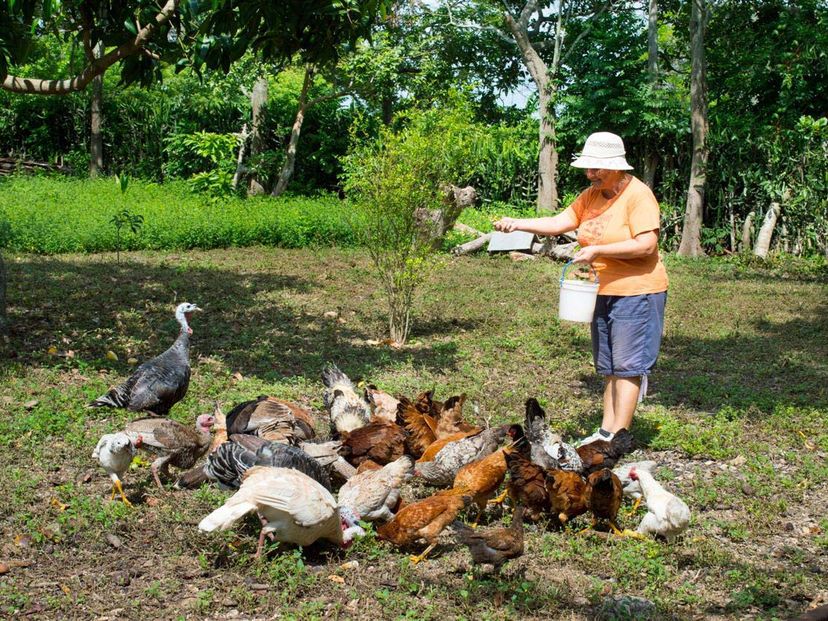 Peasant for a day tour, Camagüey