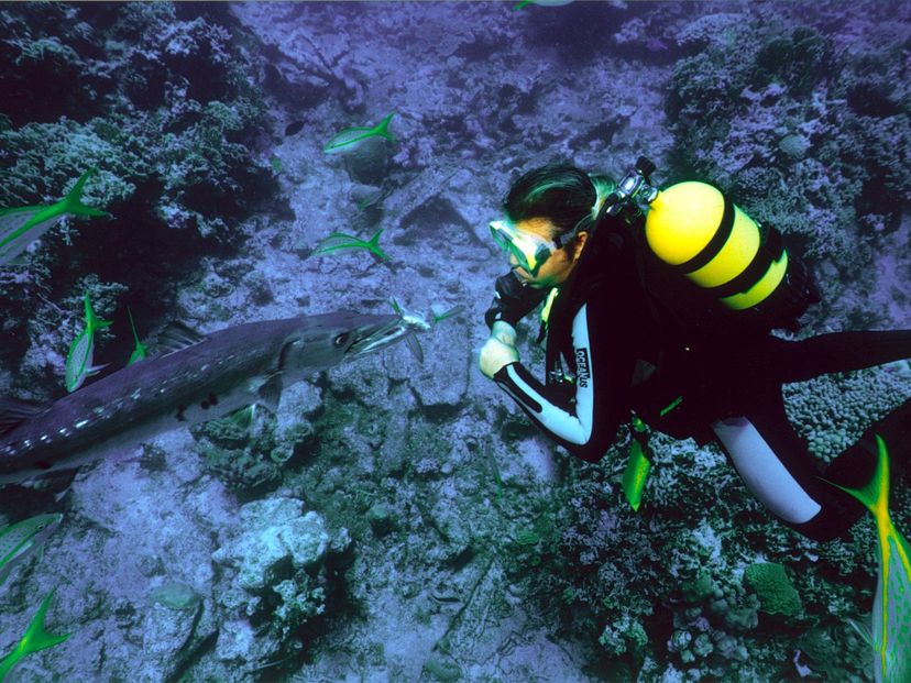 Scuba diving tour in Holguín