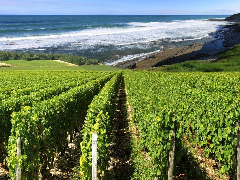 TOUR “VALLE DI CASABLANCA”.