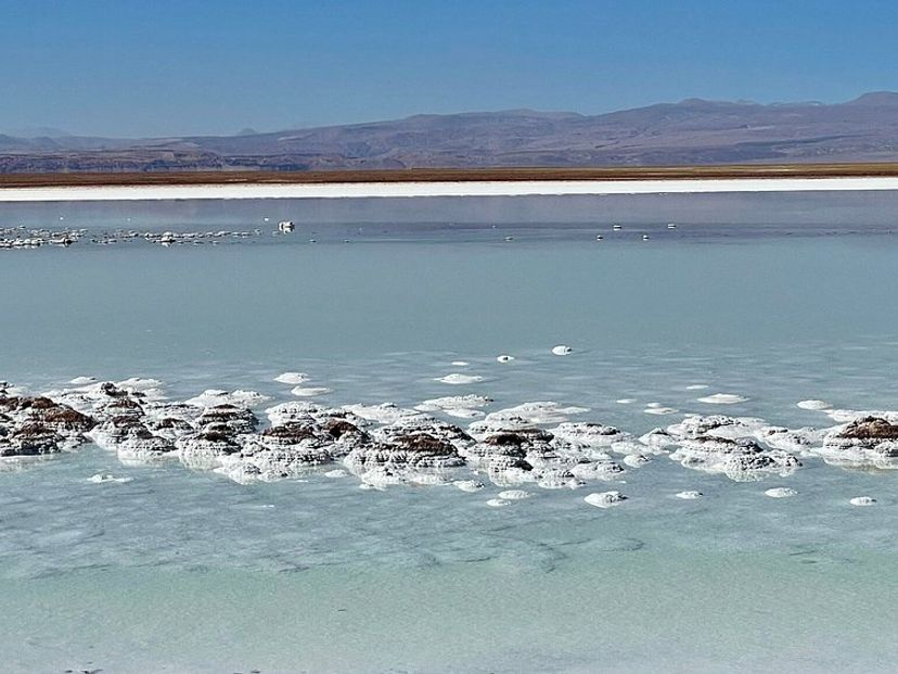 “LAGUNE CEJAR, OJOS DEL SALAR UND LAGUNE TEBENQUICHE“ Tour