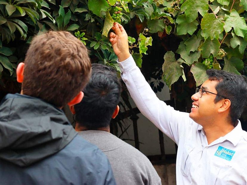 Local Wine Tour in Lima, Peru