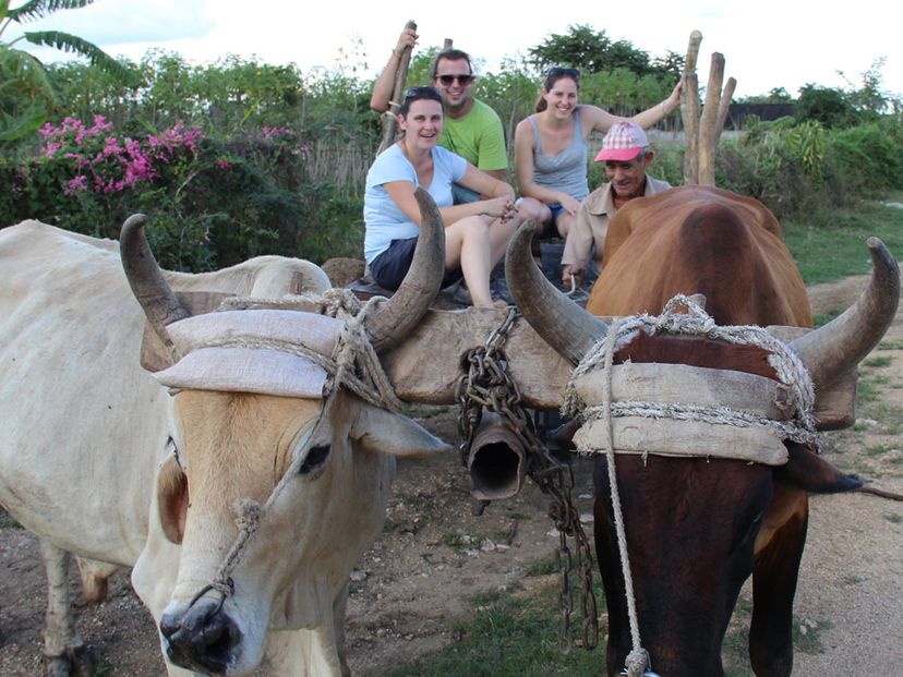 Finca la Belén, Camaguey