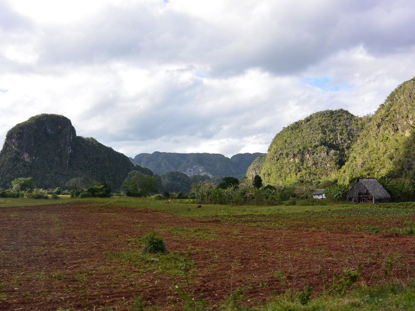 “THE LANDSCAPES IN THE VIÑALES VALLEY TRAIL” Tour, Viñales, Pinar del Río, Cuba.