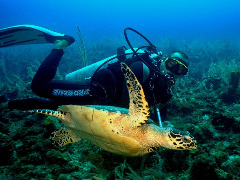 Scuba diving tour in Cayo Santa María, Villa Clara, Cuba.