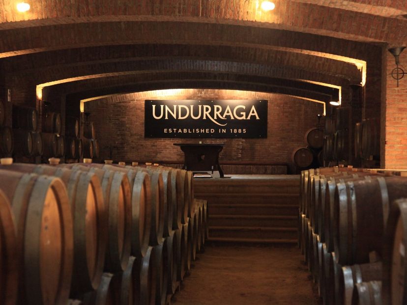 “UNDURRAGA WINERY” Tour, Chile.