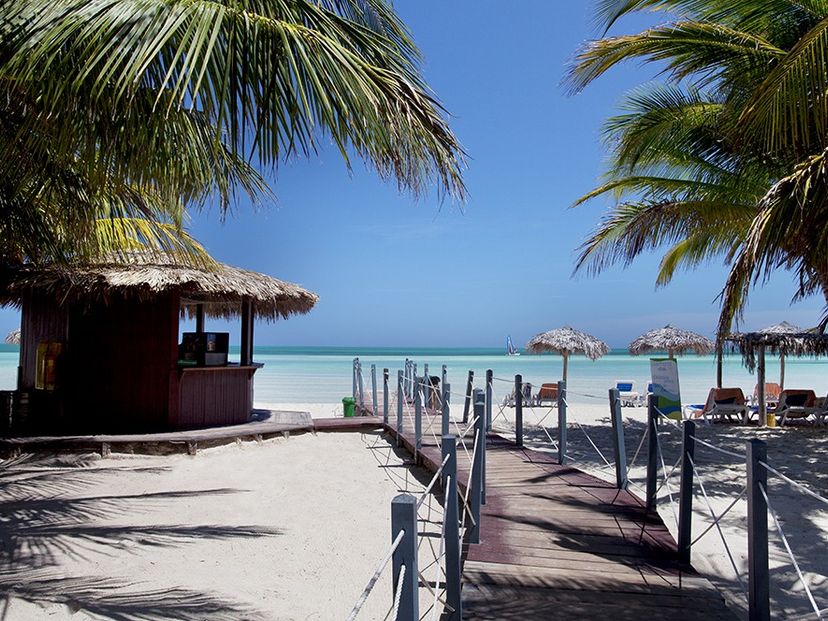 Uva Caleta