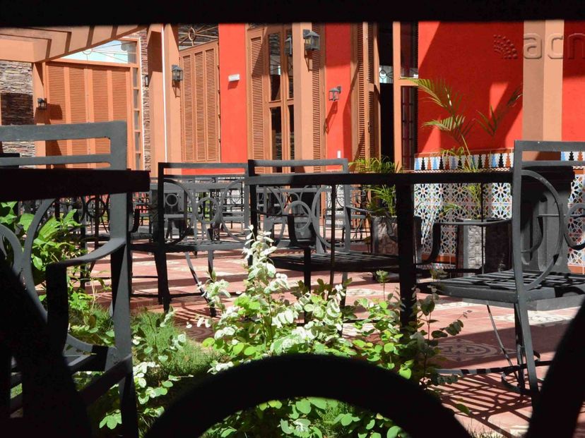 Roof Garden