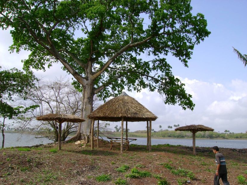 El Lago