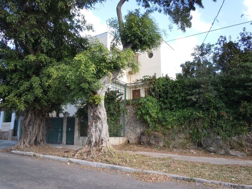 House's panoramic view