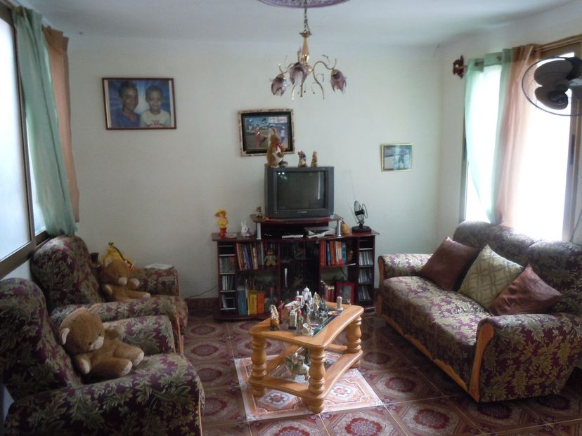 Apartment's living room