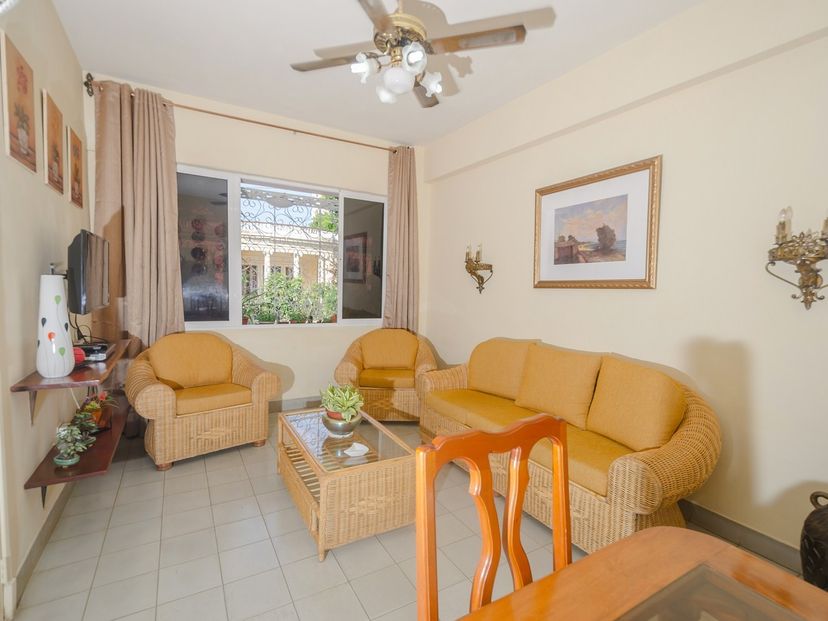 Apartment's living room