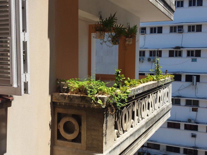 Apartment's panoramic view