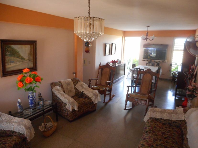 Apartment's living room