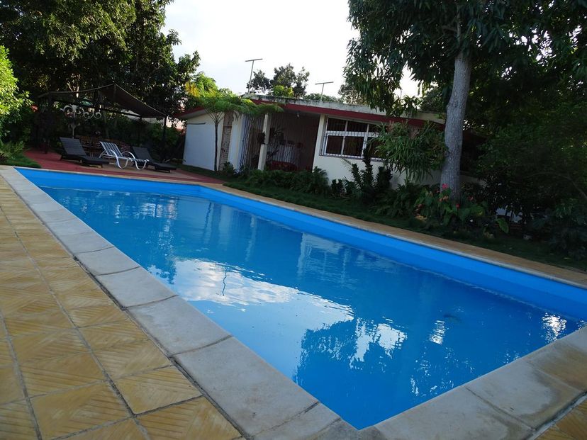 House´s swimming pool-garden view