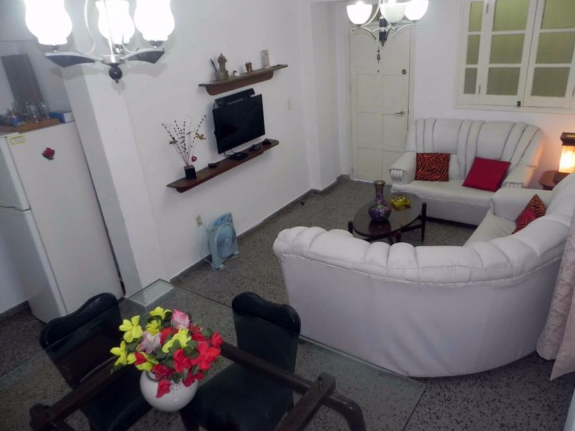 Apartment's living room
