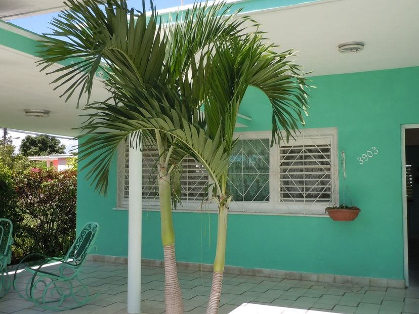 Panoramic house View